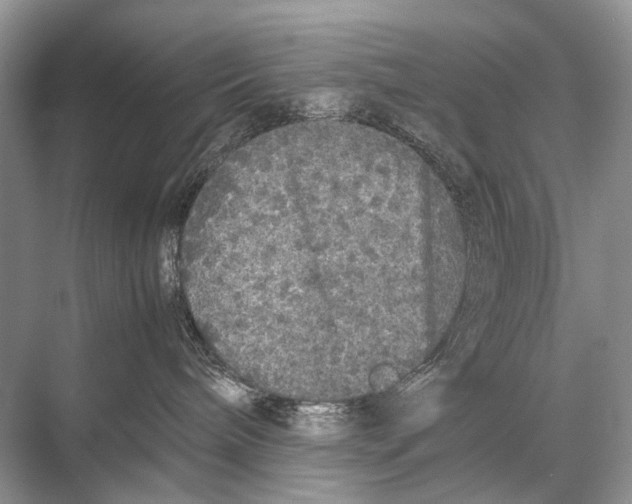 X0000067850240200605041723