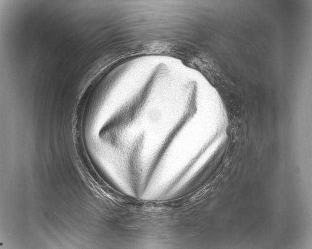 X0000067850242200605041722