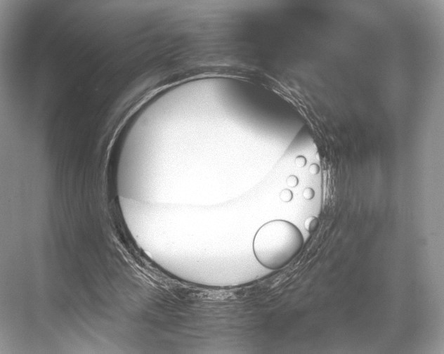 X0000067850243200605041723