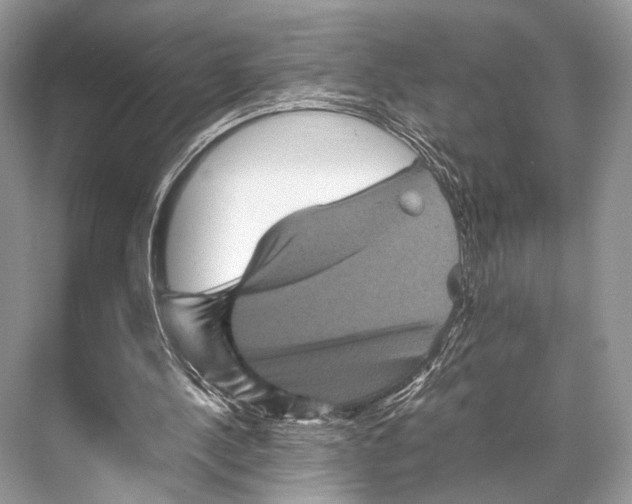 X0000067850244200605041723