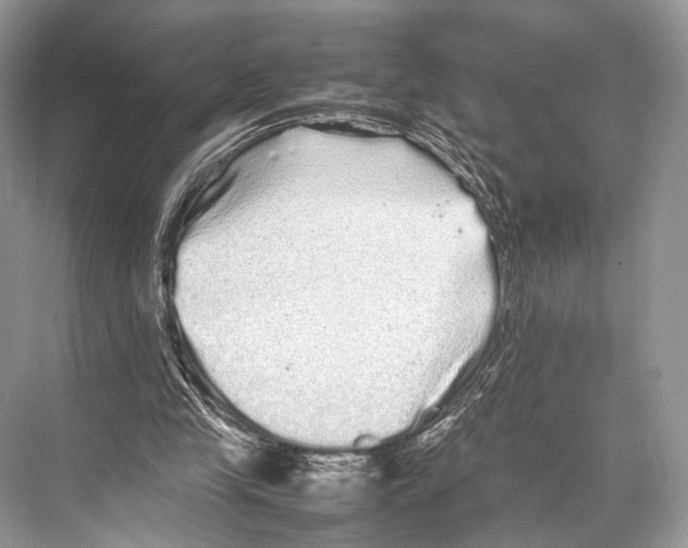 X0000067850245200605041723