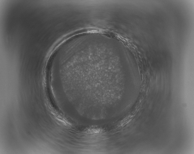 X0000067850247200605041723