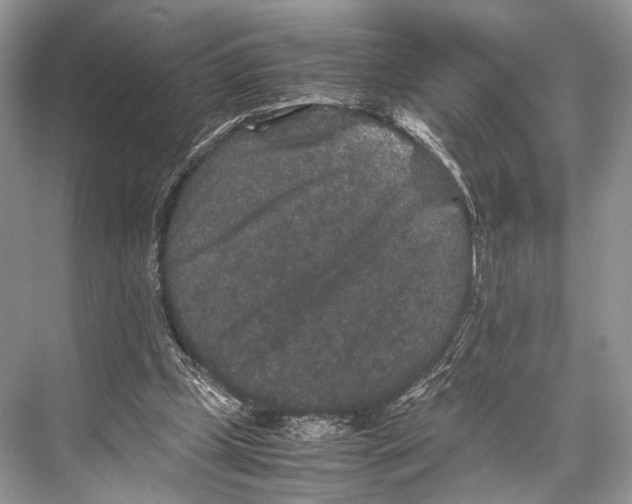 X0000067850249200605041723