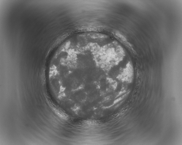 X0000067850250200605041723