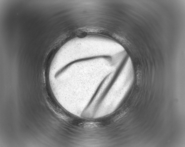 X0000067850254200605041723