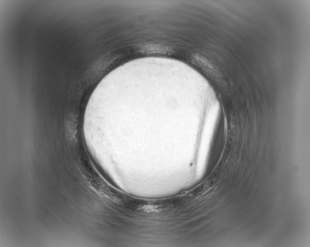 X0000067850255200605041723