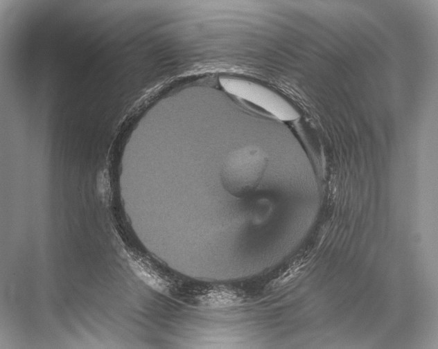 X0000067850256200605041723