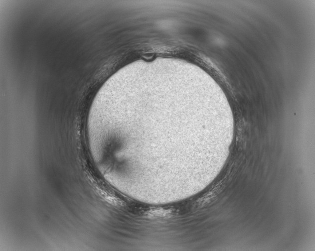 X0000067850257200605041723