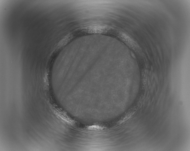 X0000067850258200605041723