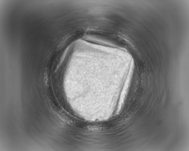 X0000067850259200605041723