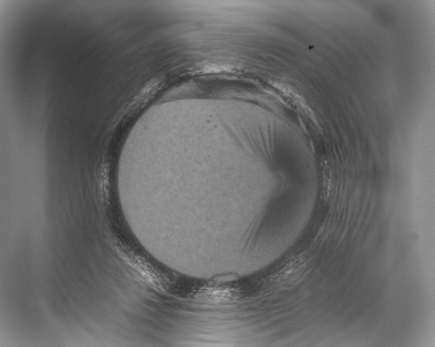 X0000067850260200605041723