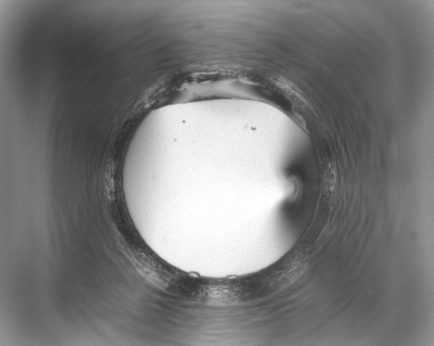 X0000067850264200605041723