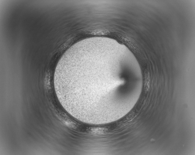 X0000067850268200605041723