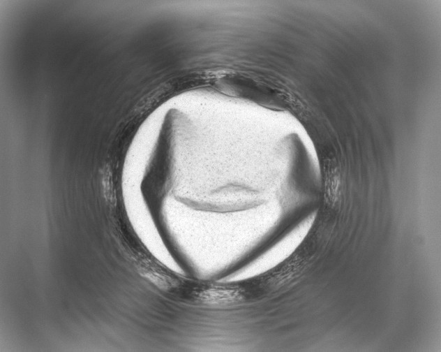 X0000067850270200605041723