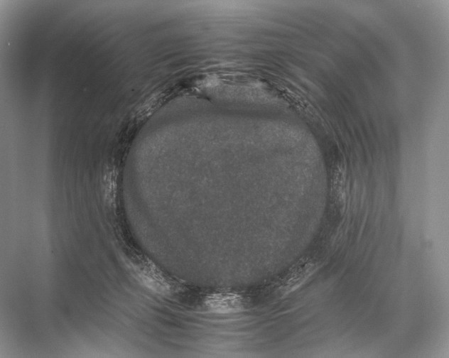 X0000067850271200605041723