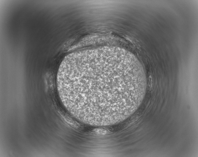 X0000067850272200605041723