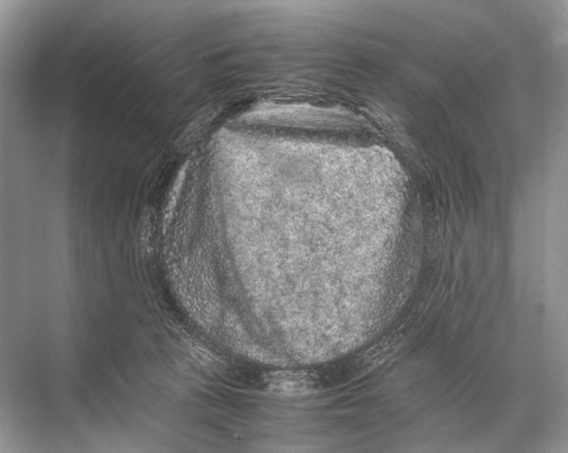 X0000067850273200605041723