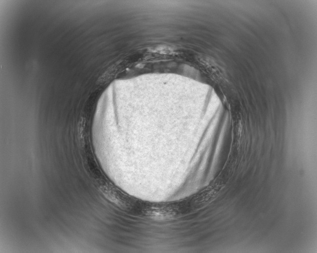 X0000067850275200605041723