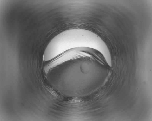 X0000067850276200605041723