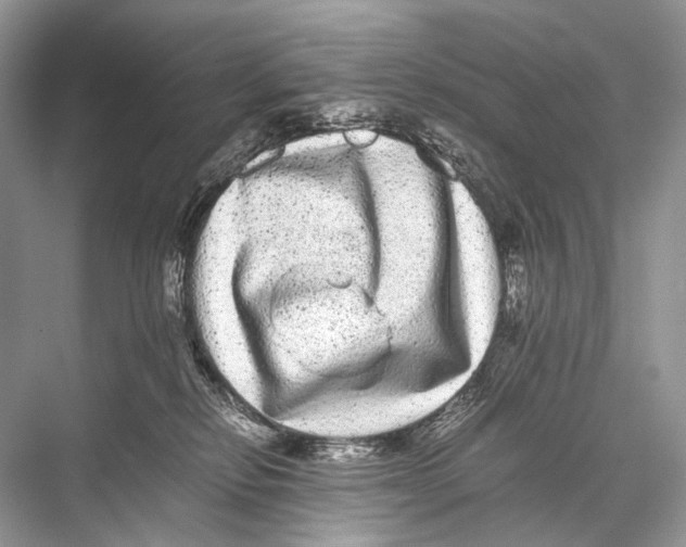 X0000067850278200605041723