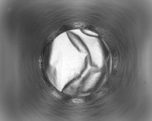 X0000067850279200605041723