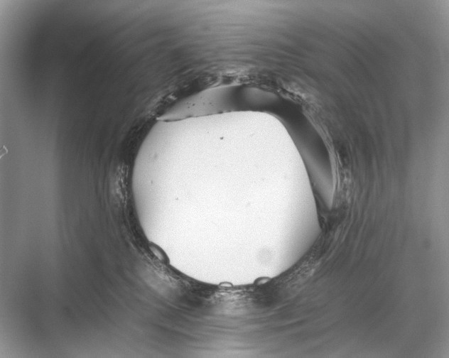 X0000067850280200605041723