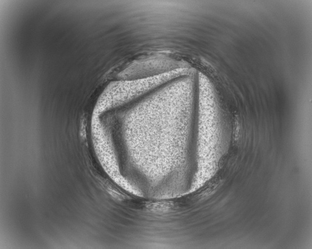 X0000067850282200605041723