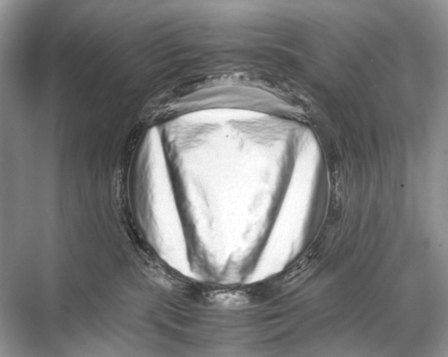 X0000067850283200605041723