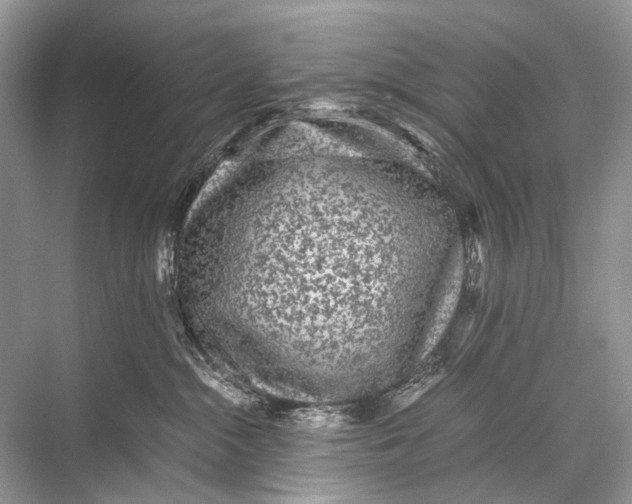 X0000067850284200605041723