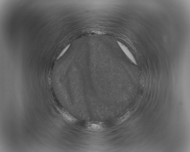 X0000067850285200605041723