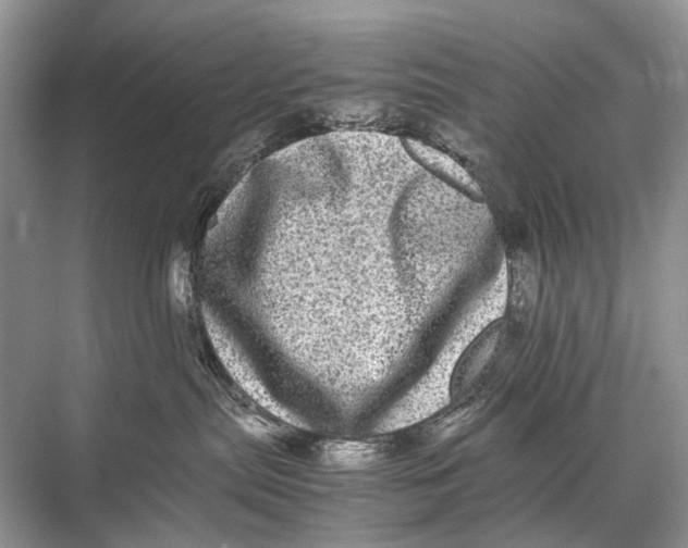 X0000067850287200605041723