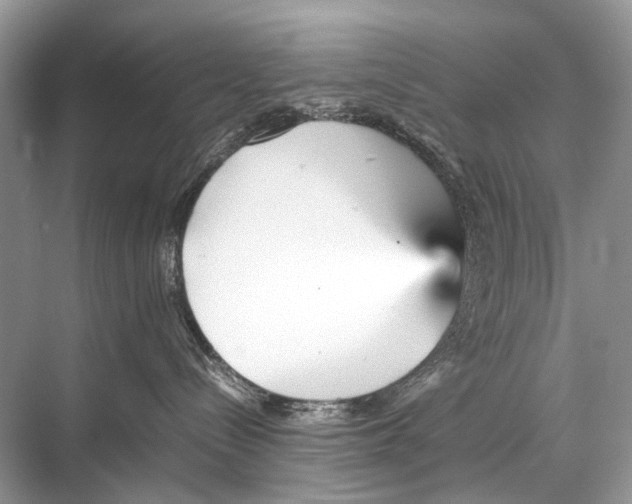 X0000067850288200605041723