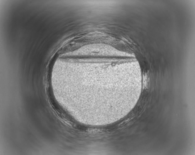 X0000067850291200605041722