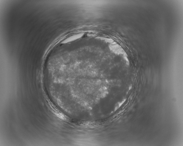 X0000067850293200605041722