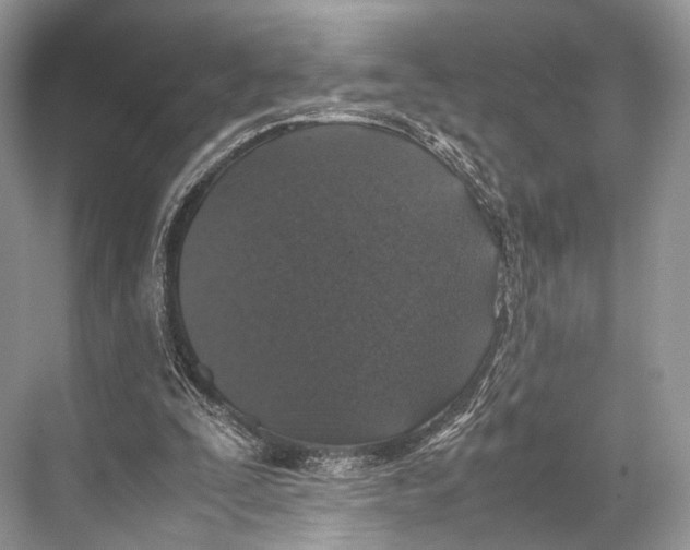 X0000067850295200605041722