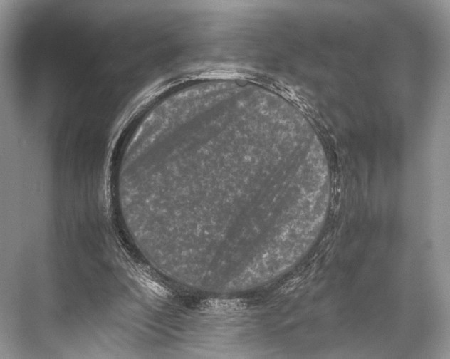 X0000067850296200605041722