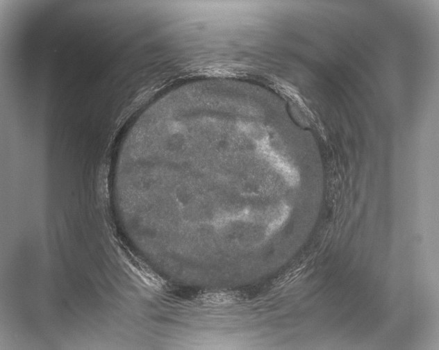 X0000067850299200605041722