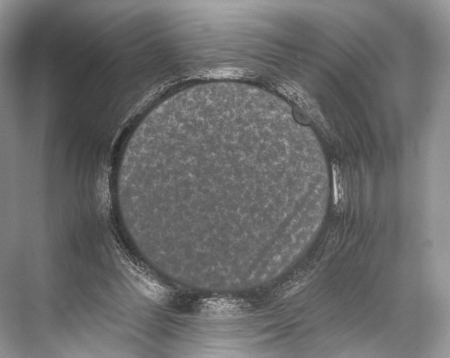 X0000067850300200605041722