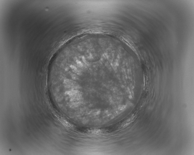 X0000067850301200605041722