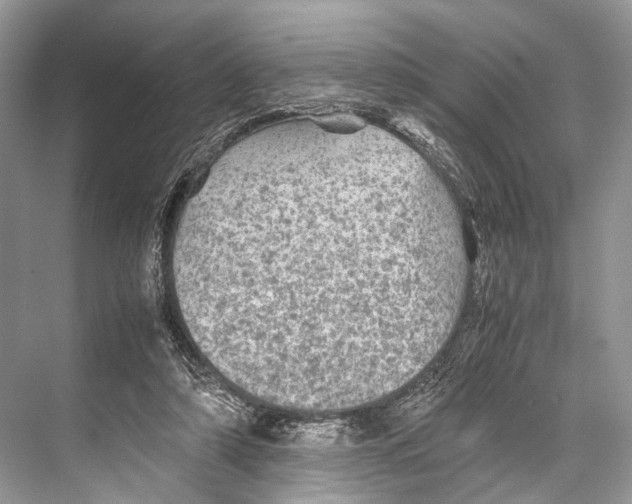 X0000067850306200605041722