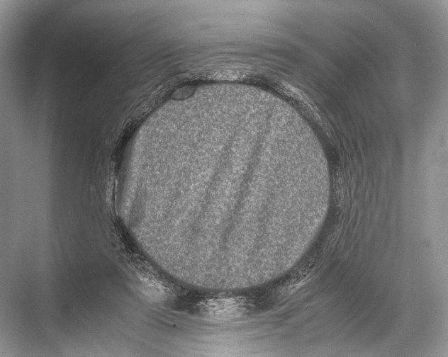 X0000067850307200605041722