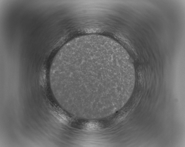 X0000067850308200605041722