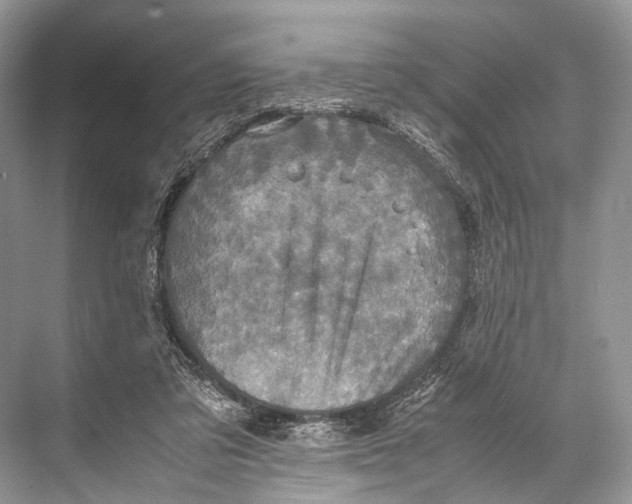 X0000067850309200605041722