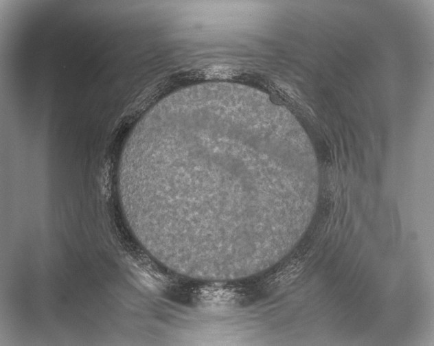 X0000067850311200605041722