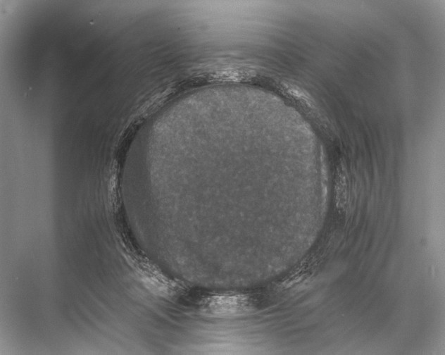 X0000067850314200605041722