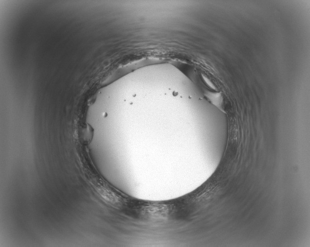 X0000067850317200605041722