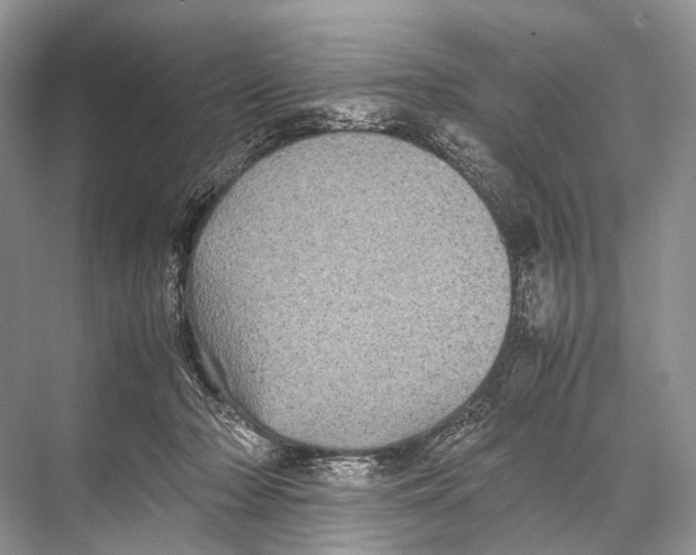 X0000067850318200605041722