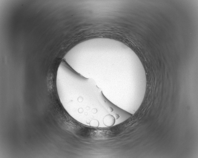 X0000067850323200605041722