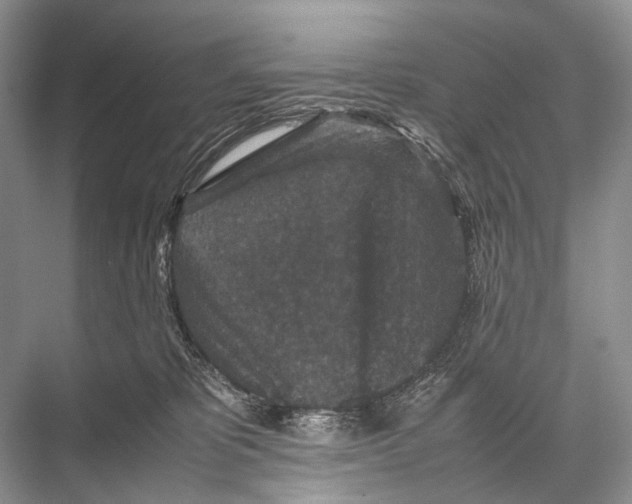 X0000067850325200605041722