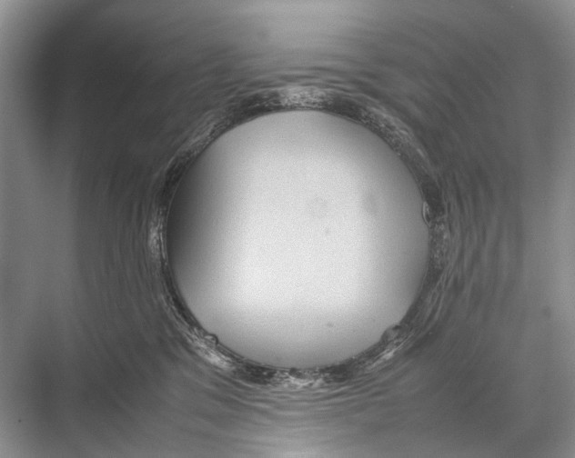 X0000067850329200605041722